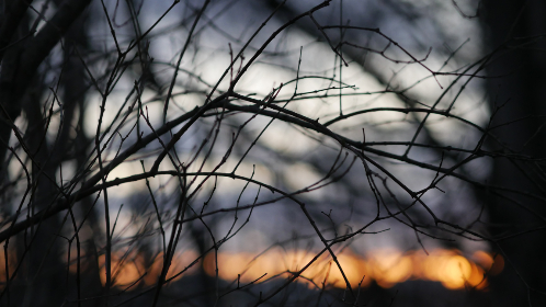 5连开奖惊喜不断,幸运大奖花落谁家?