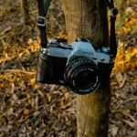 深入解读亚博最新域名背后的品牌信任与合规要点 me18rug