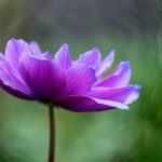 5月6号震撼开奖!3D彩票最新结果火热揭晓 ss5zz4j0sy