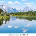 深度解析莎莎国际的成功秘诀与市场策略 umozspb