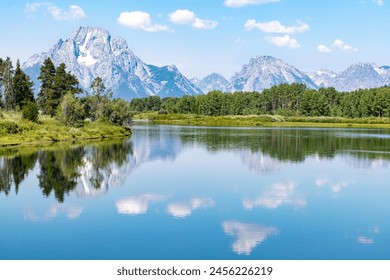 深度解析莎莎国际的成功秘诀与市场策略